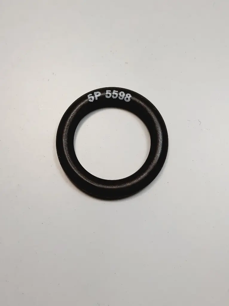 5P5598