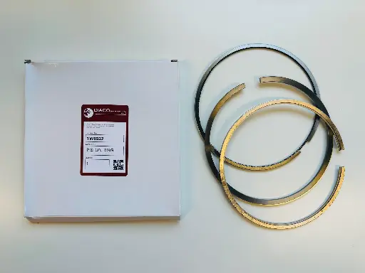 [RING-PISTON] 1W8922