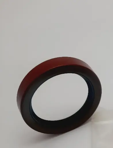 [SEAL-LIP TYPE] 2H3843